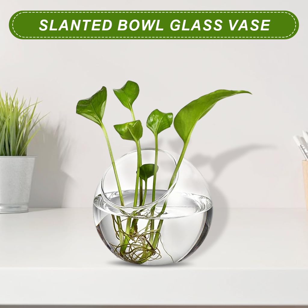 HASTHIP Glass Terrarium Container for DIY Mini Plant Display with Angled Opening | Clear Spherical Vase for Home Décor