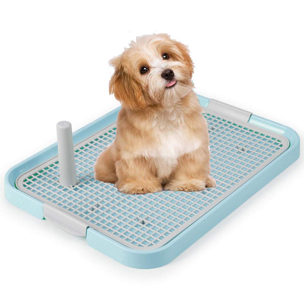 PATPAT 19X 14 Inch Dog Poop Tray, Pee Pads for Dogs, Dog Pet Potty Indoor Training Mesh Toilet, Regular Protect Litter Tray Pan Pad Holder, Keep Paws Dry and Floor Clean (Blue)