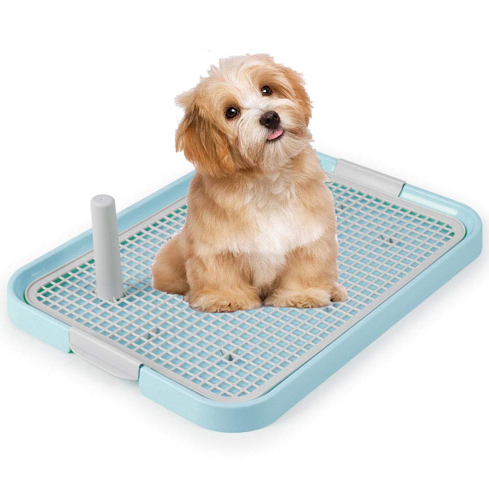 PATPAT Dog Potty Training Tray for Indoor Use with Removable Mesh Grate 19x14 in Blue | Ideal for Puppies and Small Dogs