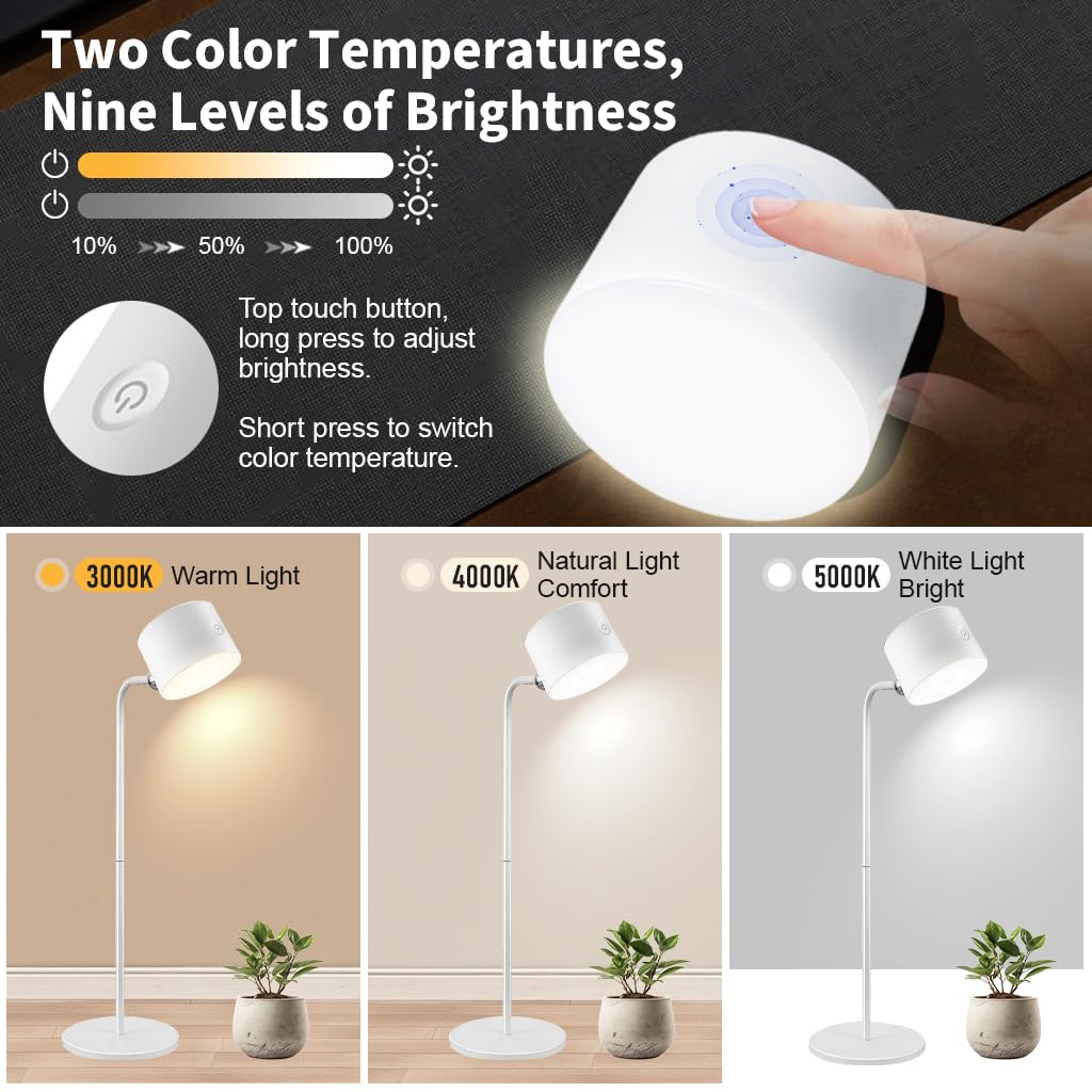 ELEPHANTBOAT Table Lamp for Study with 4 in 1 Design and 360° Magnetic Ball | USB Rechargeable