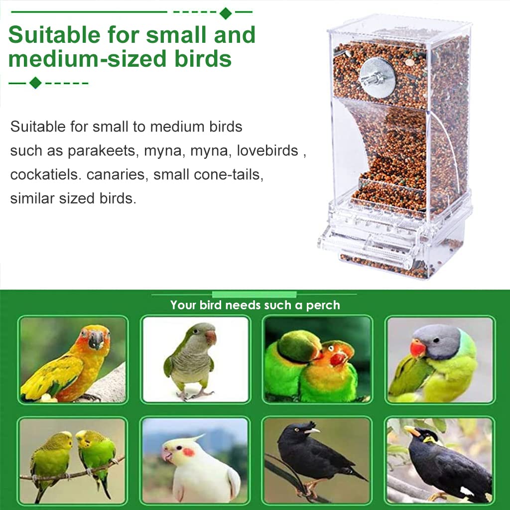 Qpets Bird Feeder for Cage featuring mess free design and acrylic container 3.35 x 2.95 x 7.28 in 3 pcs