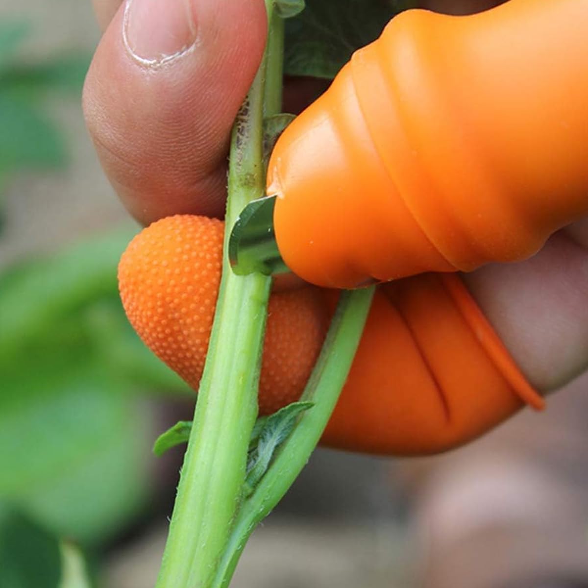 HASTHIP 2Pcs Stainless Steel Thumb Cutter, Gardening Mini Branch Cutter, Multi Purpose Thumb Cutter with 10Pcs Silicone Finger Protector for Harvesting, Plants Picking, Trimming
