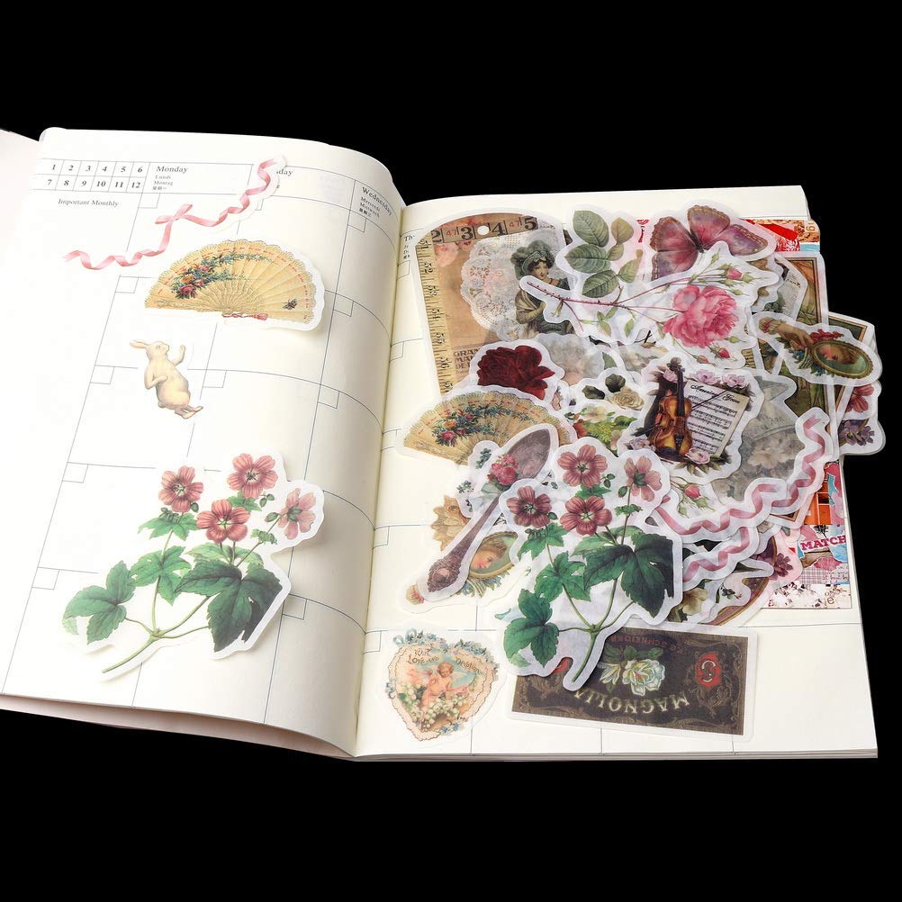 HASTHIP Paper Stickers for Scrapbooks and Notebooks featuring Vintage Designs | 60 pcs Multicolour Set