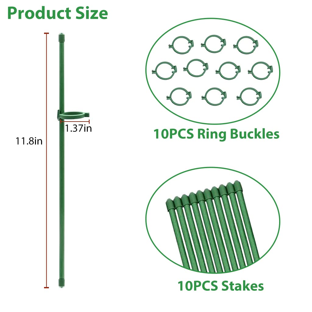 HASTHIP® 10pcs Plant Stakes Suport, Reusable Palstic 30cm Plant Stake Flower Support Stake Rings, Adjustable Plant Support Sticks for Phalaenopsis Orchid Single Stem Flowers Amaryllis Peony Lily