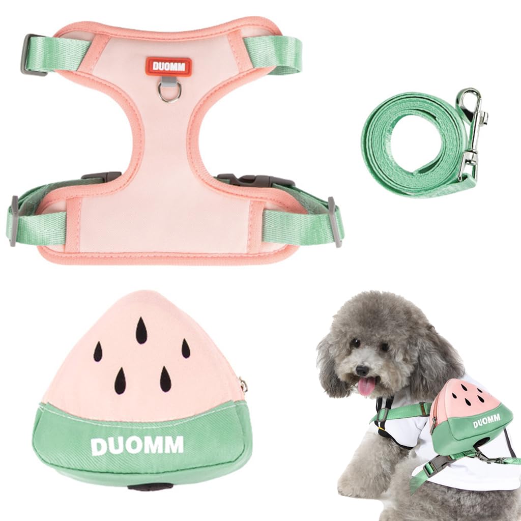 Qpets® Dog Harness Vest, Cute Puppy Dog Harness with Removable Zipper Pouch & Dog Leash, 4-Way Adjustable Dog Vest Harness Quick Release for Small Dog Cat Harness, S