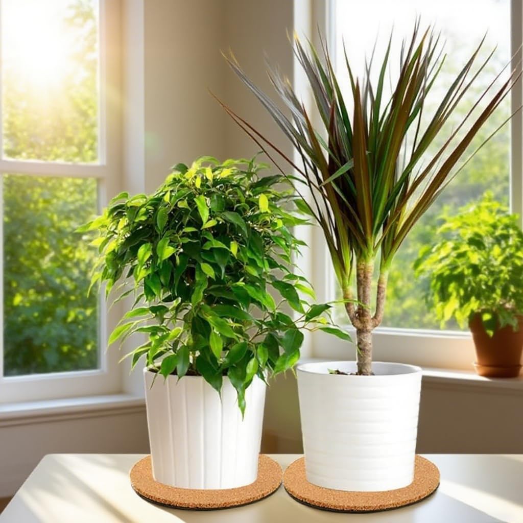 HASTHIP Planter Base for Small Indoor Pots with Anti Slip Pads and 8 in Cork Surface | Protects Furniture from Water Rings