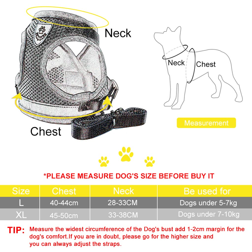 Qpets® Dog Vest Harness for Puppy with 1.2m Dog Leash Adjustable Size Dog Vest Harness Breathable Mesh Fabric with Safety Reflective Strip Dog Harness for Small Medium Dogs