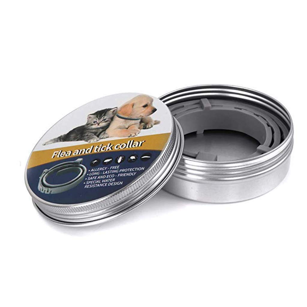 Qpets  Flea and Tick Collar - 8 Month Protection Adjustable Waterproof Collar for Dog Puppy Kitten Cats, Natural & Safe Efficiently Repell Locust Lice of Pets (for Dog and Cat) (Grey)