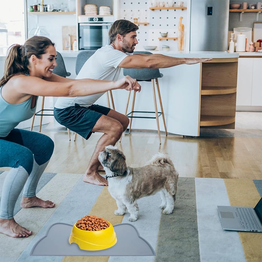Qpets Pet Feeding Mat for Dogs and Cats with Raised Edge Tray 44x24cm 2 pcs Grey Silicone