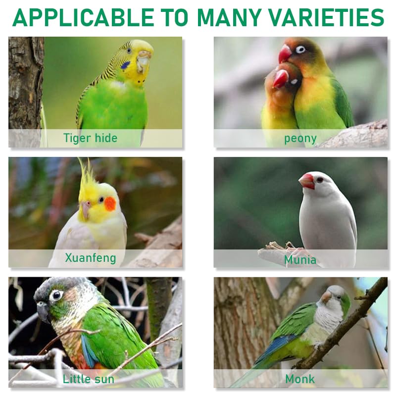 ZIBUYU® 6.6ft Parrot Leash Bird with 6.5mm Metal Feet Loop Elastic Adjustable Buckle Wrist Attachable for Budgerigars Cockatiels 3PCS