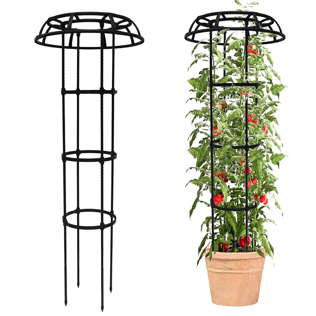HASTHIP Upright Trellis for Climbing Plants with Cylindrical Hollow Roof | 135 cm Steel and PP Resin Garden Support