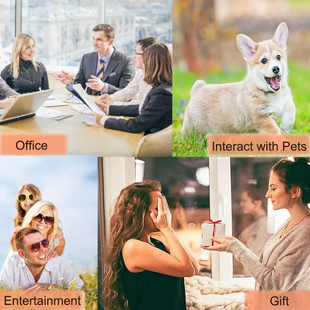 Qpets Interactive Dog Toys for Training and Communication with 30 Second Voice Recording | Orange Button