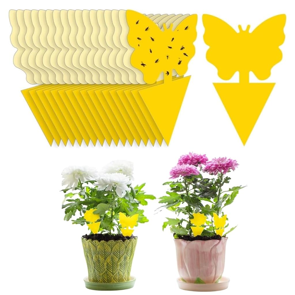 HASTHIP® 30Pcs Fruit Fly Traps for Flower Pot Yellow Butterfly Sticky Fly Trap Stong Adhesive Pre-glued Fly Trap Bug Traps for Planter, Flower Pots