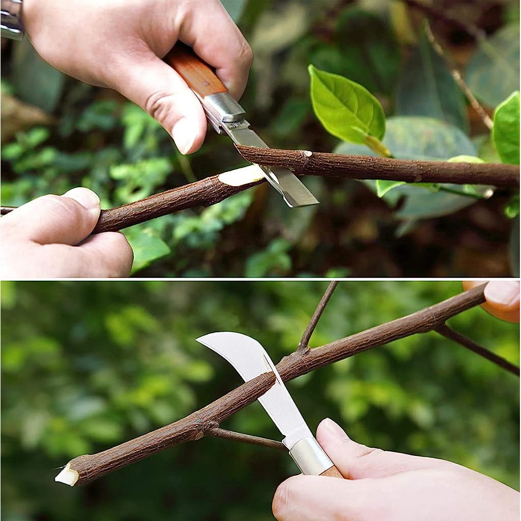 HASTHIP® Grafting Cutter for Plants with Dual Blade, Stainless Steel Grafting Tool for Organic Fruits Tree, Foldable Bud Shoot Tool Pruning Cutter with Wooden Handle