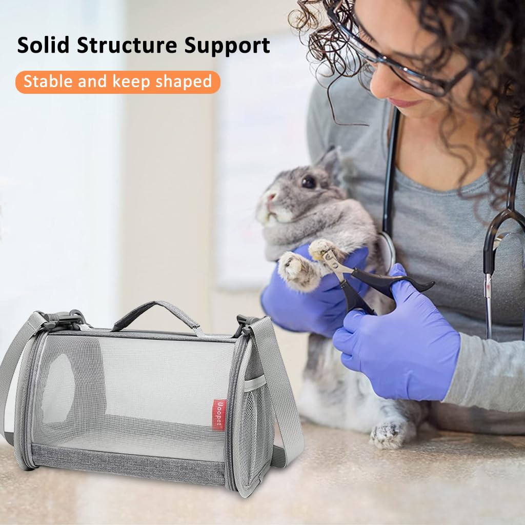 Qpets Portable Carrier Case for Small Animals 10.6×7×5.9 in with Breathable Mesh and Handle | Ideal for Guinea Pig, Bunny, and Hamster Travel