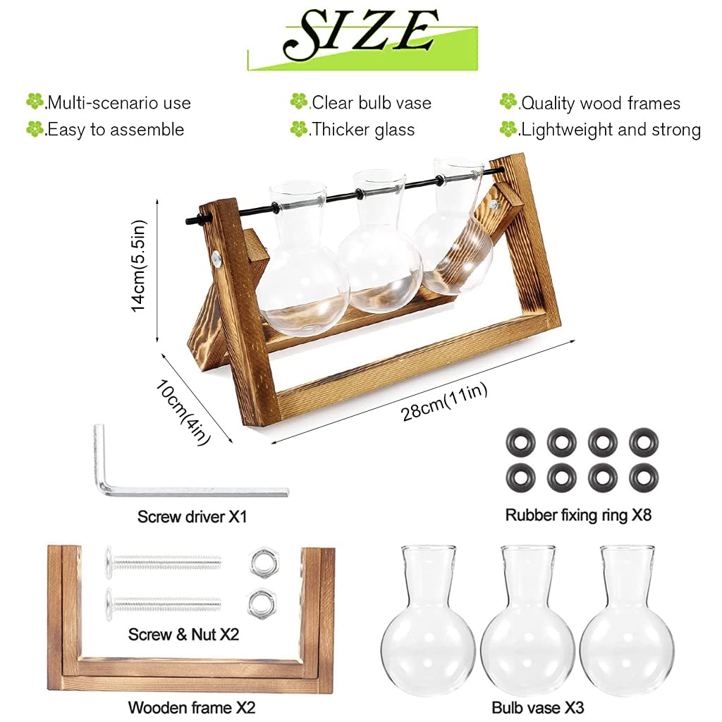 HASTHIP Hydroponics Glass Planter for Desktop Decor with 3 Bulb Vases and Wooden Stand | 11 in Wide
