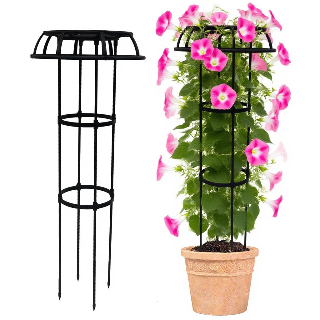 HASTHIP Garden Plant Support Trellis for Pots featuring 105cm Height and Hollow Roof Design