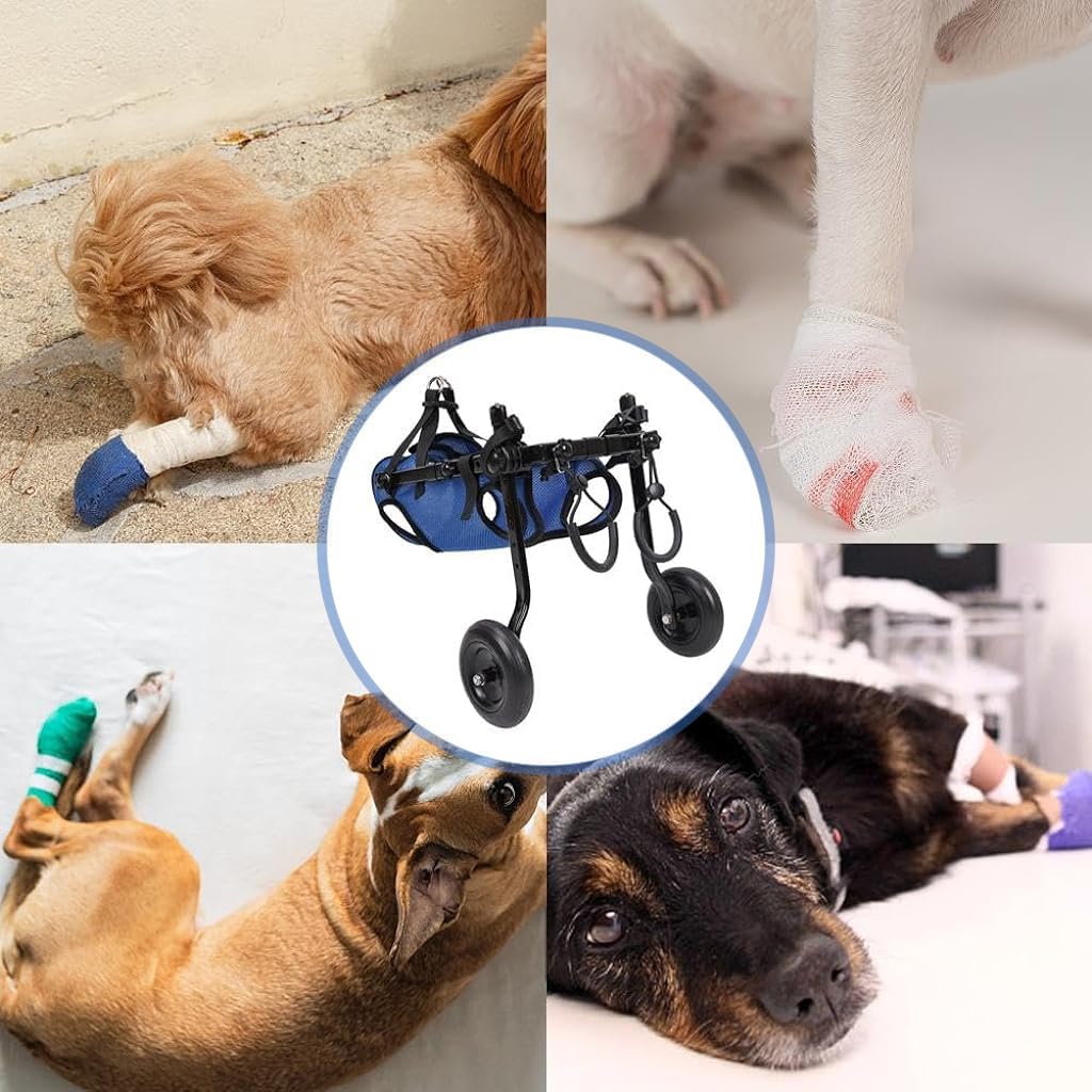 Qpets Dog Wheelchair for Back Legs featuring Double Ring Leash Design and Nylon Frame | Adjustable Fit for Small Disabled Dogs