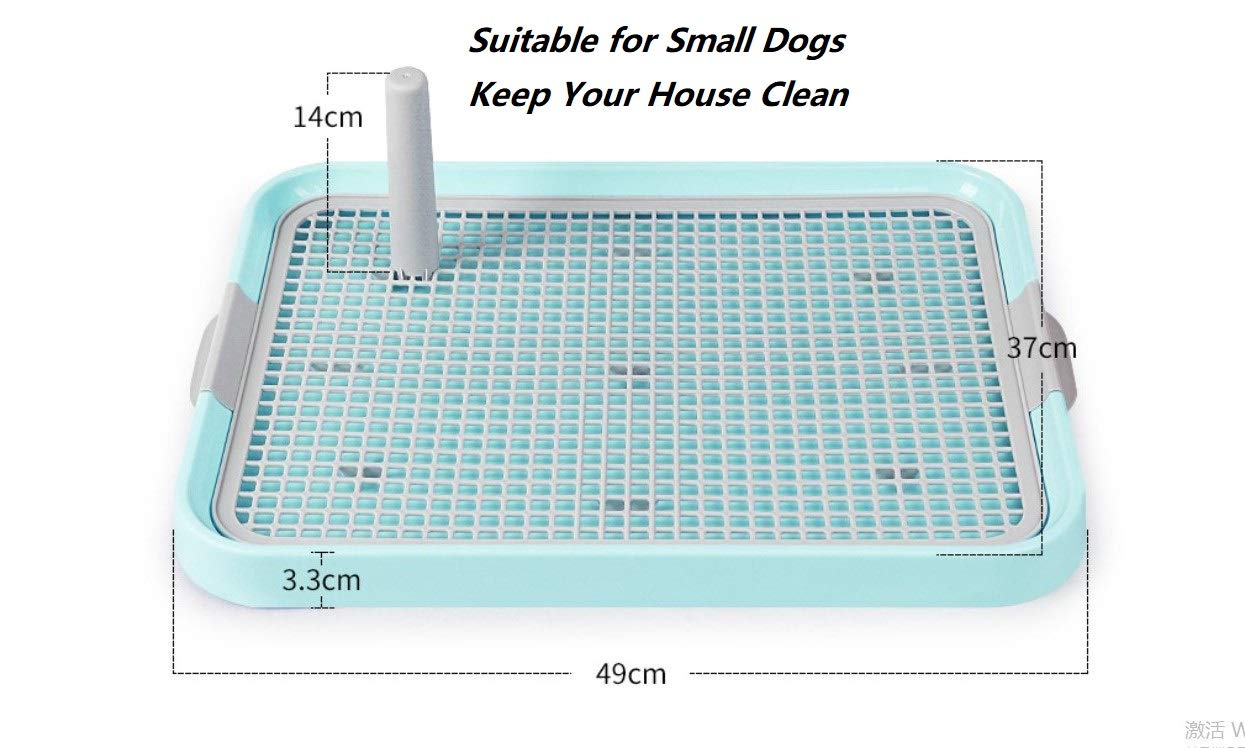 PATPAT Dog Potty Training Tray for Indoor Use with Removable Mesh Grate 19x14 in Blue | Ideal for Puppies and Small Dogs