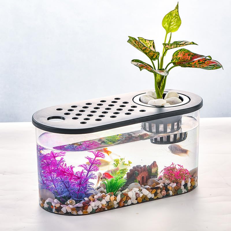 HASTHIP Plastic Fish Tank, Narrow Aquarium, Modern Transparent Fish Bowl, Desktop Goldfish Tank, Clear Betta Fish Tank, Portable Fish Tank with Oxygen Pump Hole