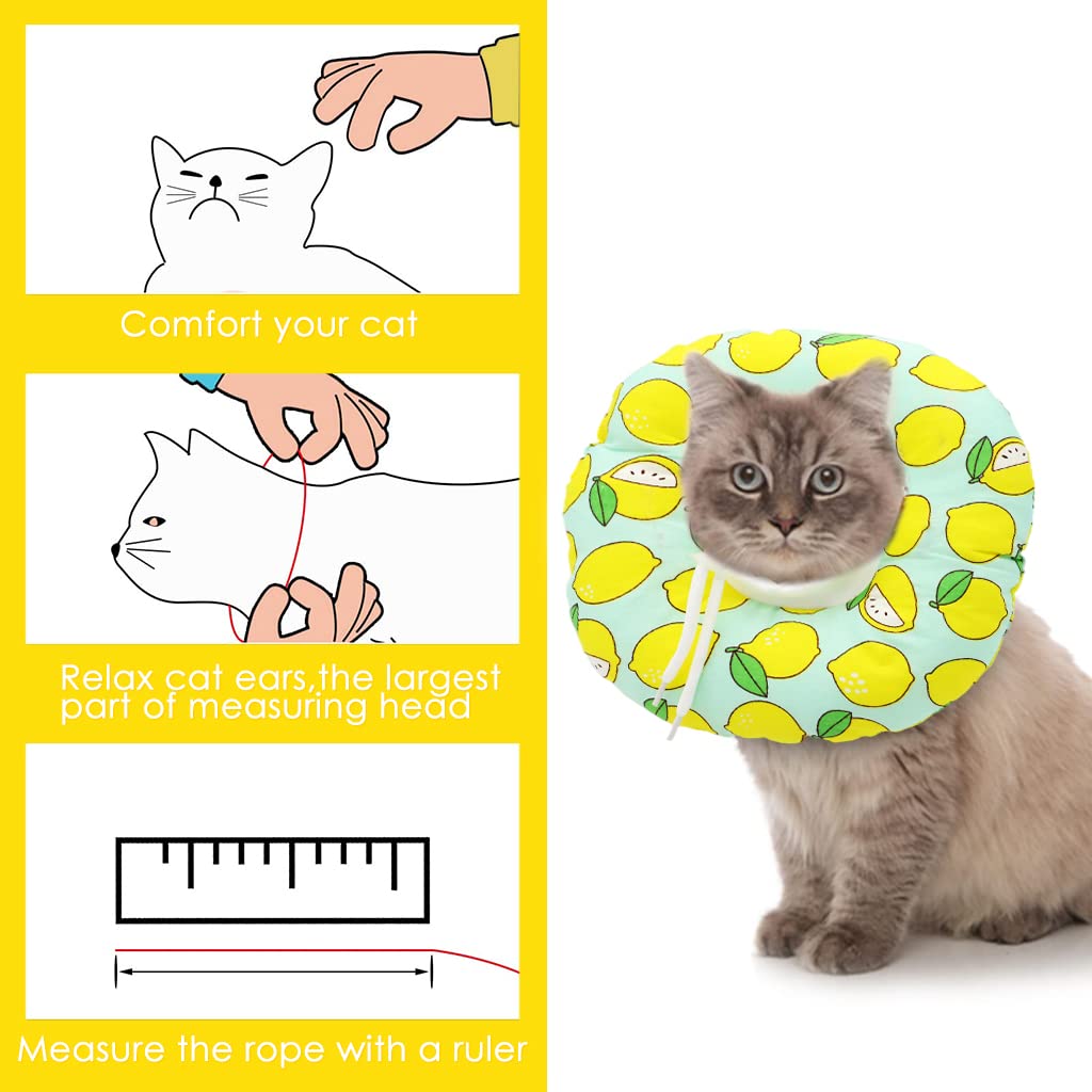 Qpets Cat Cone Collar for Surgery Recovery with Adjustable Hook Closure 19–25cm | Soft Cotton Foldable Design for Comfortable Healing