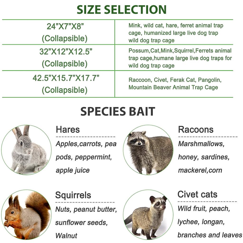 Proberos Live Animal Cage Trap for Cats and Squirrels 24x7x8 featuring One Door Steel Design