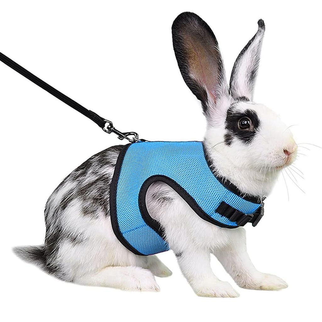 Optifit® Rabbit Harness with Leash Breathable Mesh Harness for Bunny 3.5lbs-6lbs Adjustable Small Pets Harness for Rabbit, Guinea Pigs, Chinchillas (XL, Blue)