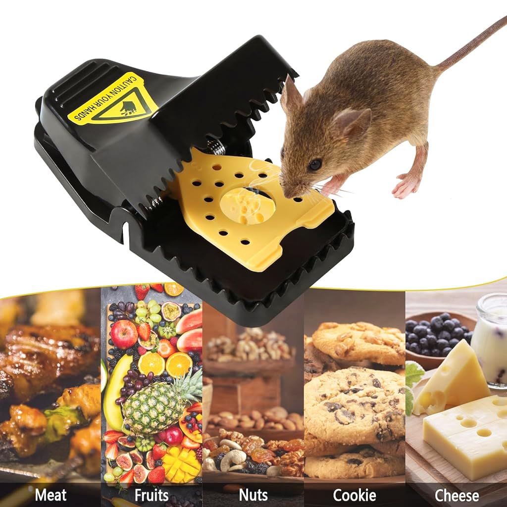 HASTHIP Rat Trap for Home with Quick Trigger Mechanism and Reusable ABS Design | 2Pcs