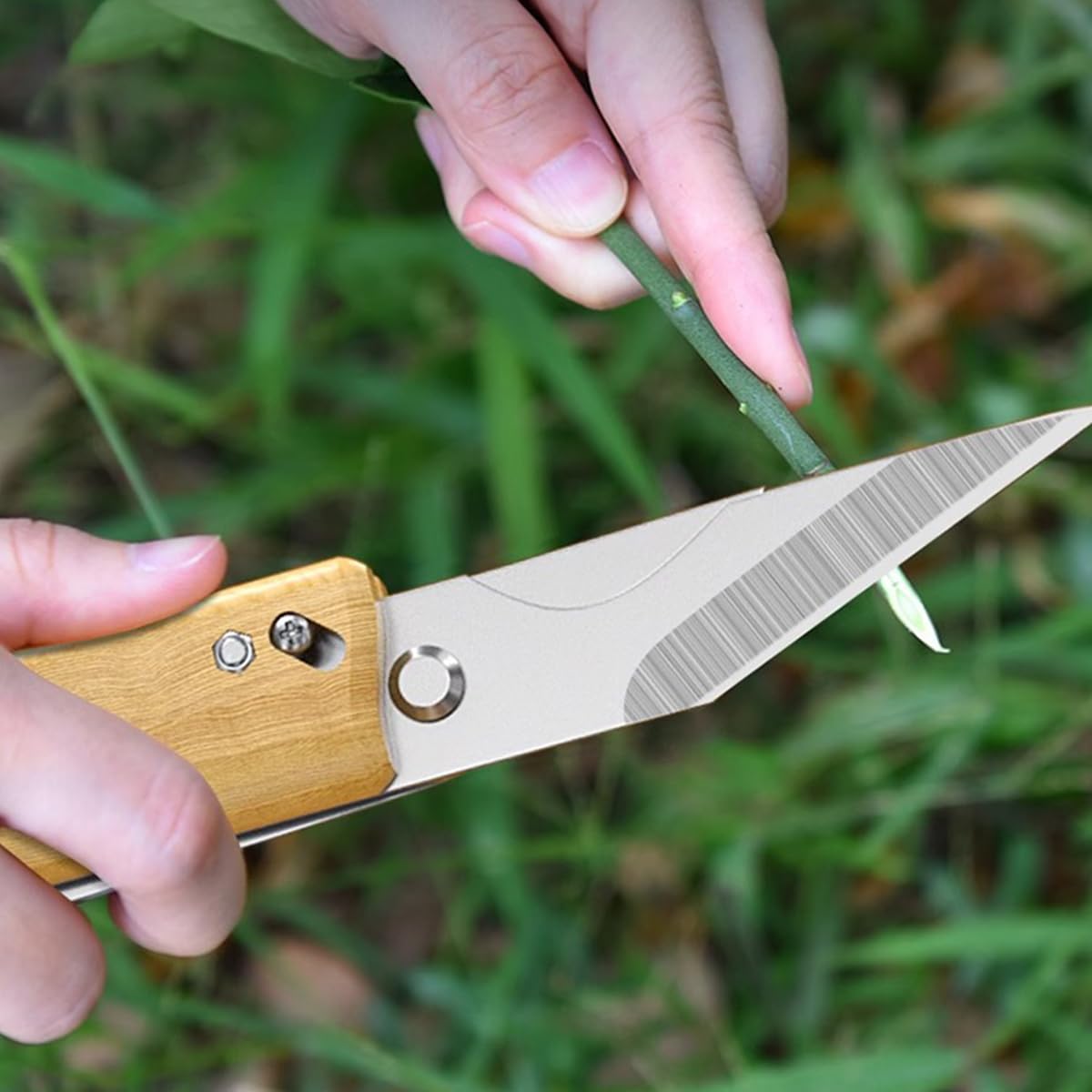 HASTHIP Grafting Cutter Tool 3 in 1 for Gardening with Wooden Handle and Rugged Steel | 2PCS