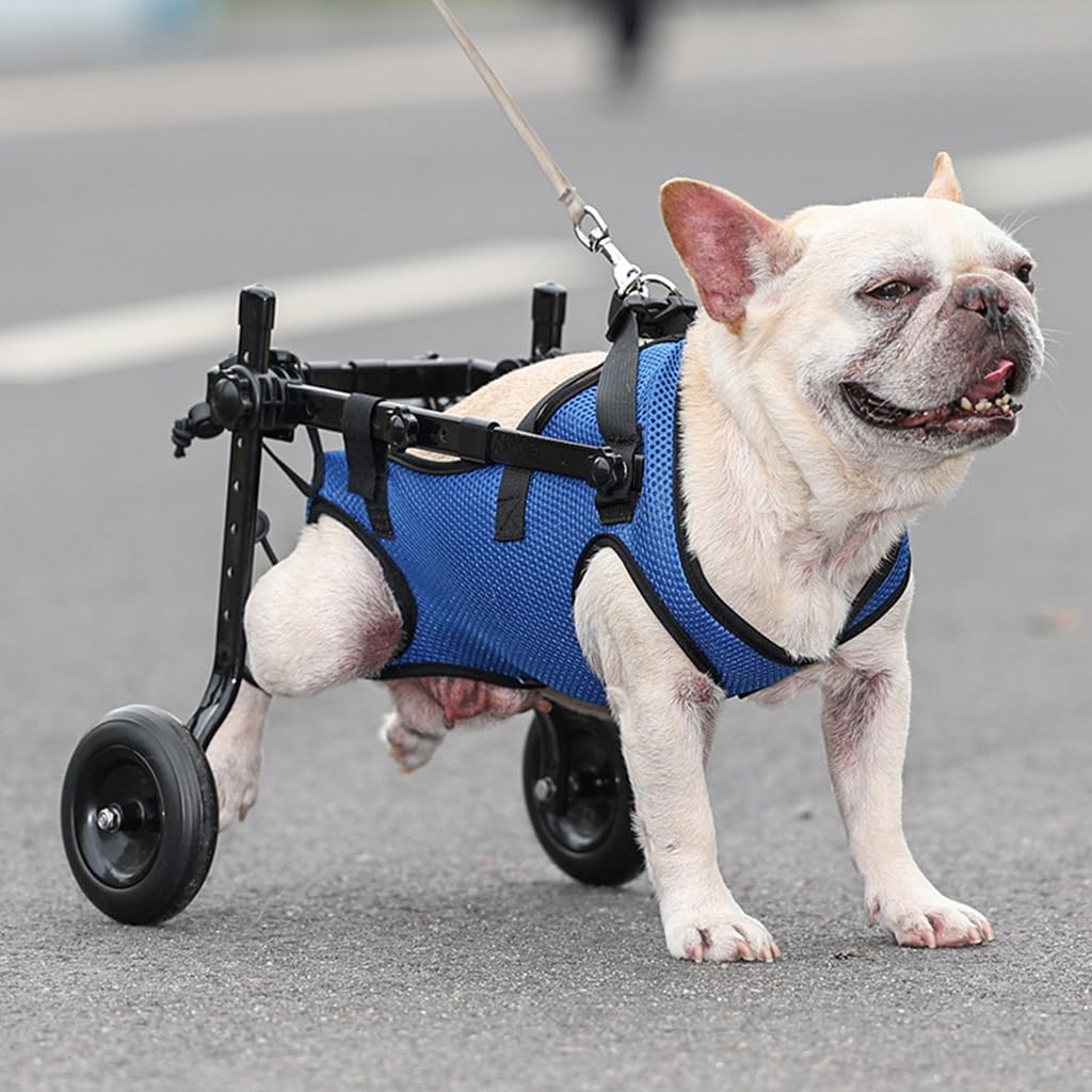 Qpets Dog Wheelchair for Back Legs featuring Double Ring Leash Design and Nylon Frame | Adjustable Fit for Small Disabled Dogs