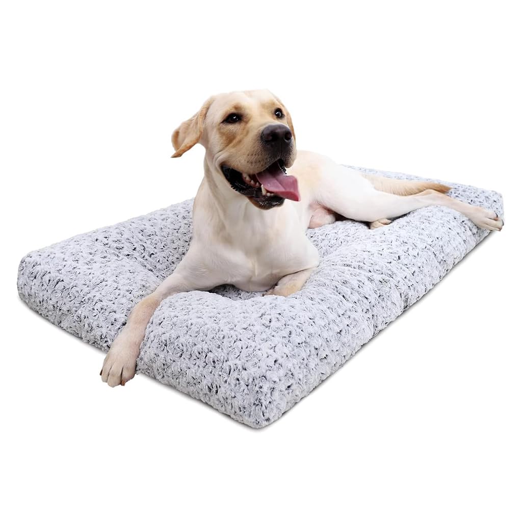 Qpets Dog Bed for Winter Comfort with Thermal Insulation and Waterproof Anti Slip Bottom | 2XL Plush Rose Pattern Mat