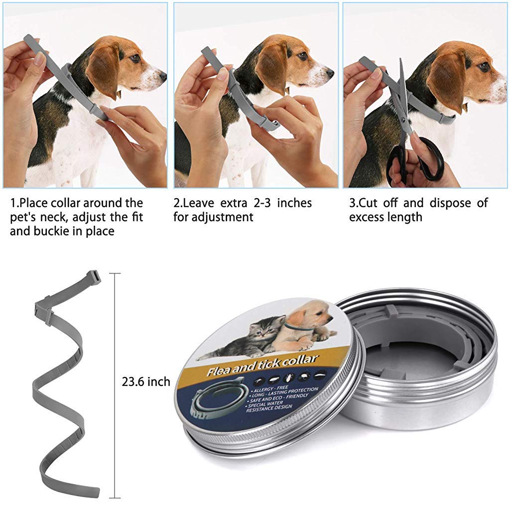 Qpets  Flea and Tick Collar - 8 Month Protection Adjustable Waterproof Collar for Dog Puppy Kitten Cats, Natural & Safe Efficiently Repell Locust Lice of Pets (for Dog and Cat) (Grey)