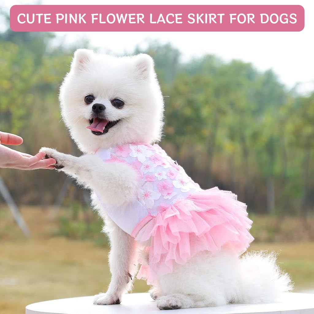 Qpets Dog Clothes for Small Breeds 3.5–4.5kg featuring Lace Skirt and Pink Floral Design