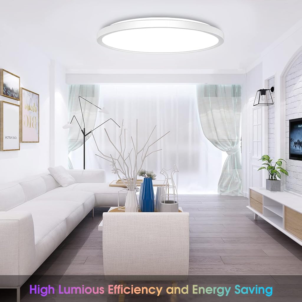 ELEPHANTBOAT RGB Dimmable LED Ceiling Light with Remote Control 12 in 24 W 3200 lm for Bedroom and Living Room