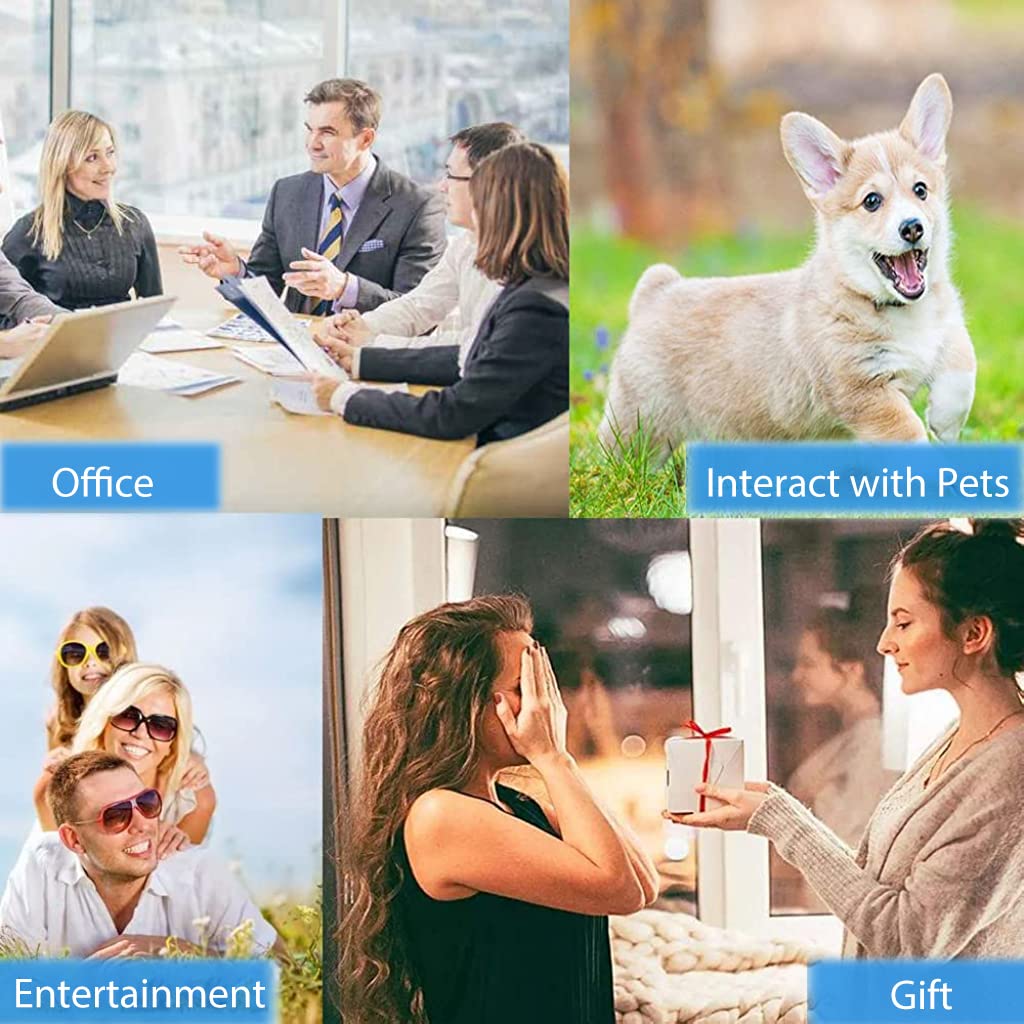 Qpets Interactive Dog Toys for Communication Training featuring 30 Second Voice Recording | Fun Blue Pet Buttons