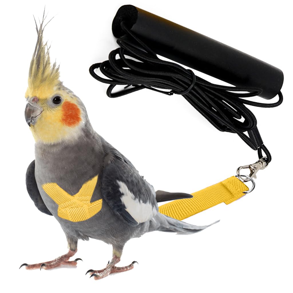 Qpets® Pet Parrot Bird Harness, Anti-bite Outdoor Parrot Bird Flight Safety Belt for Parrot Training, Bird Toys Elastic Rope with Cute Angel Wings for Parrot, Yellow