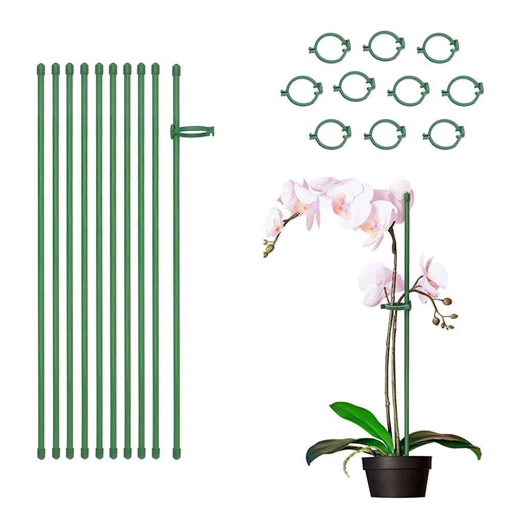 HASTHIP® 10pcs Plant Stakes Suport, Reusable Palstic 30cm Plant Stake Flower Support Stake Rings, Adjustable Plant Support Sticks for Phalaenopsis Orchid Single Stem Flowers Amaryllis Peony Lily