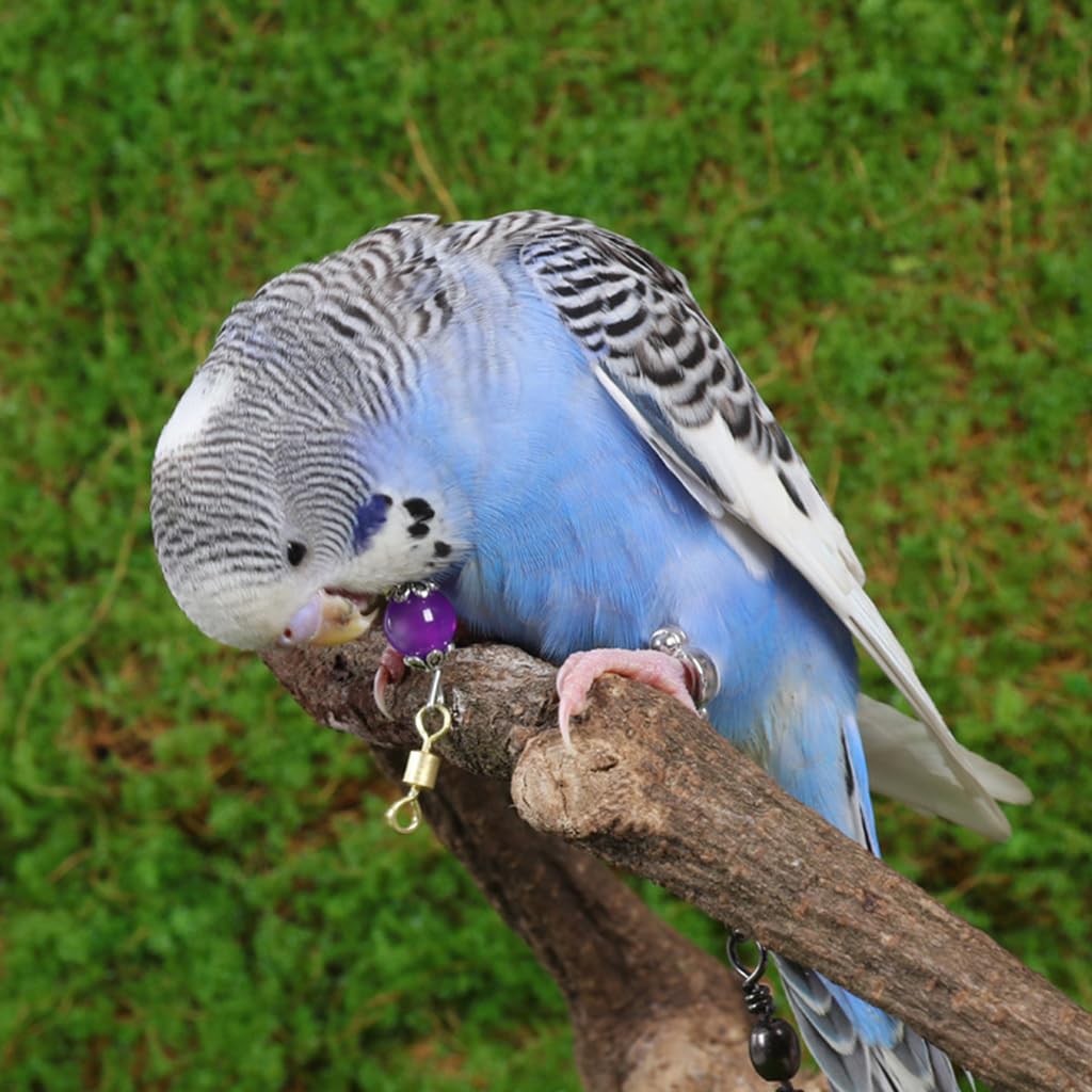 Qpets® Parrot Chain Harnesses Purple Opal Charm Neck Ring with 50cm Chain Parrot Neck Collar Chain Harnesses with Quick Release Buckle Fashion Bird Accessories, Size L