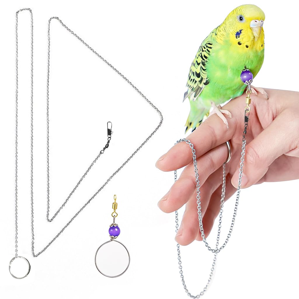 Qpets Parrot Chain Harness for Outdoor Use with 50cm Chain and Quick Release Buckle | Purple Opal Charm Collar