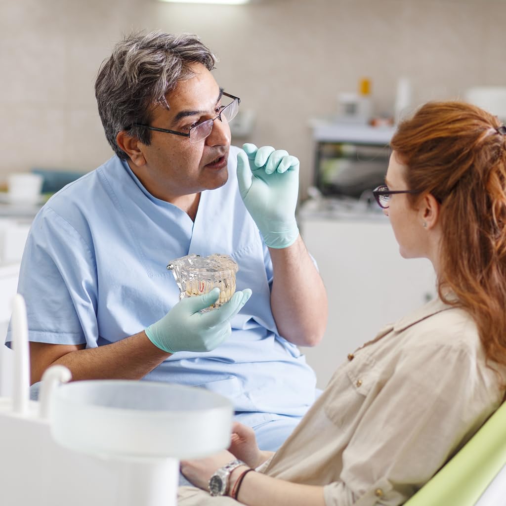 Serplex Transparent Dental Model 1:1 for Education with Detachable Teeth | Pathology Training Aid
