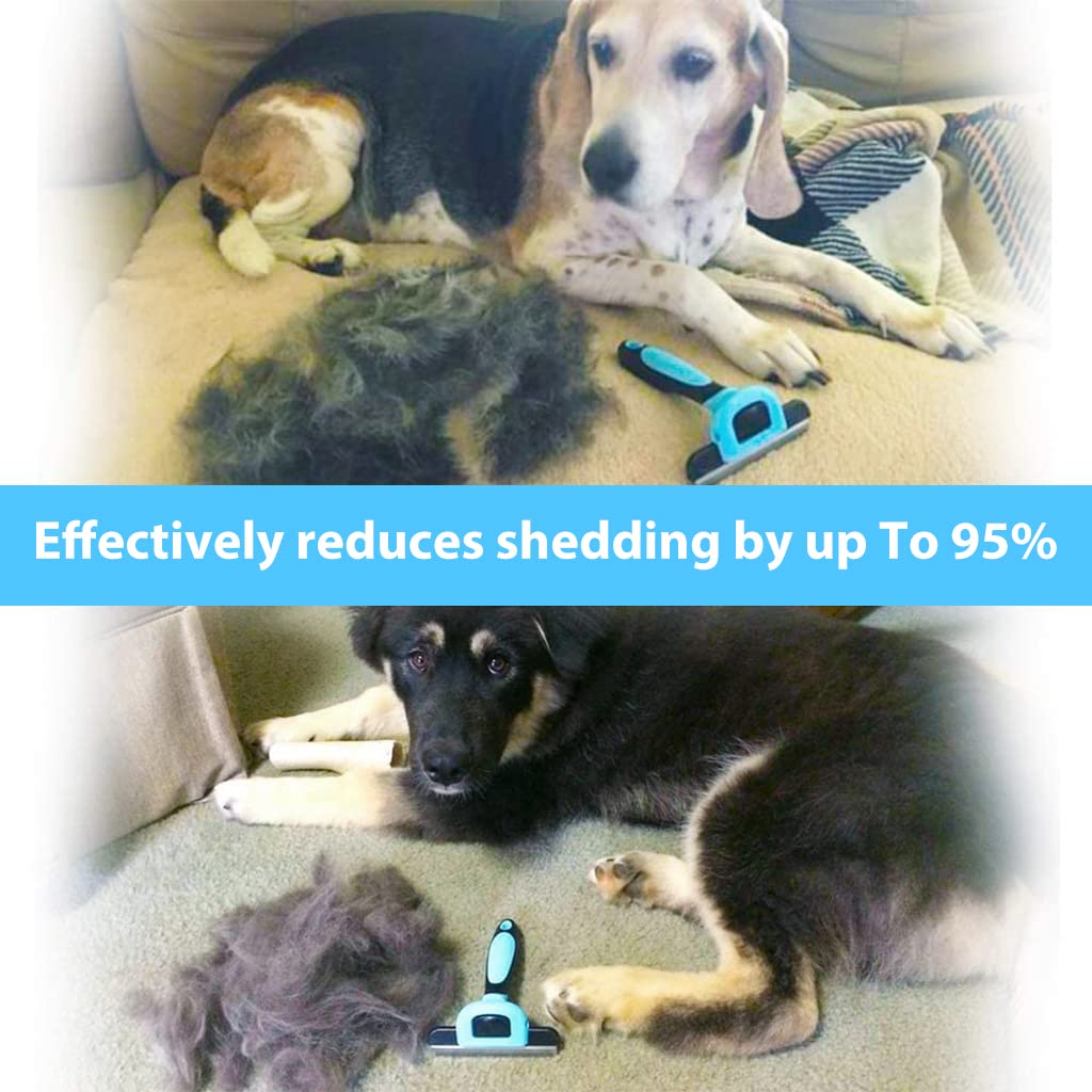 SNOWIE SOFT Dog Hair Brush for Easy Deshedding with 7 cm Steel Teeth and Detachable Design | Blue Comb for Cats & Dogs