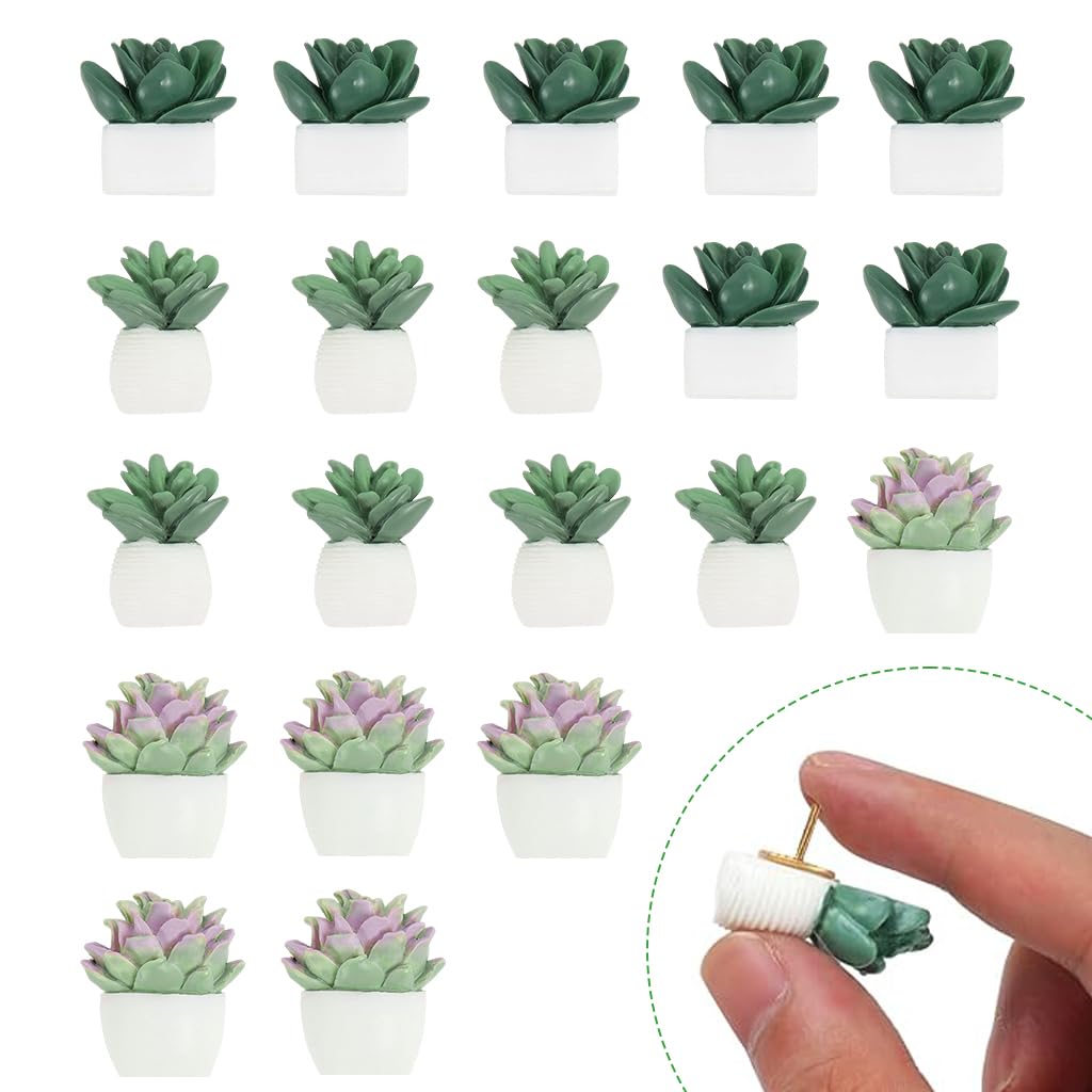 HASTHIP® 20pcs Decorative Push Pins Cute Succulent Plants Decorative Push Pins Colorful Thumbtacks for Home Decor Push Pins Assorted Resin Succulent Pushpins for Photo Wall, Cork Board, Bulletin Board