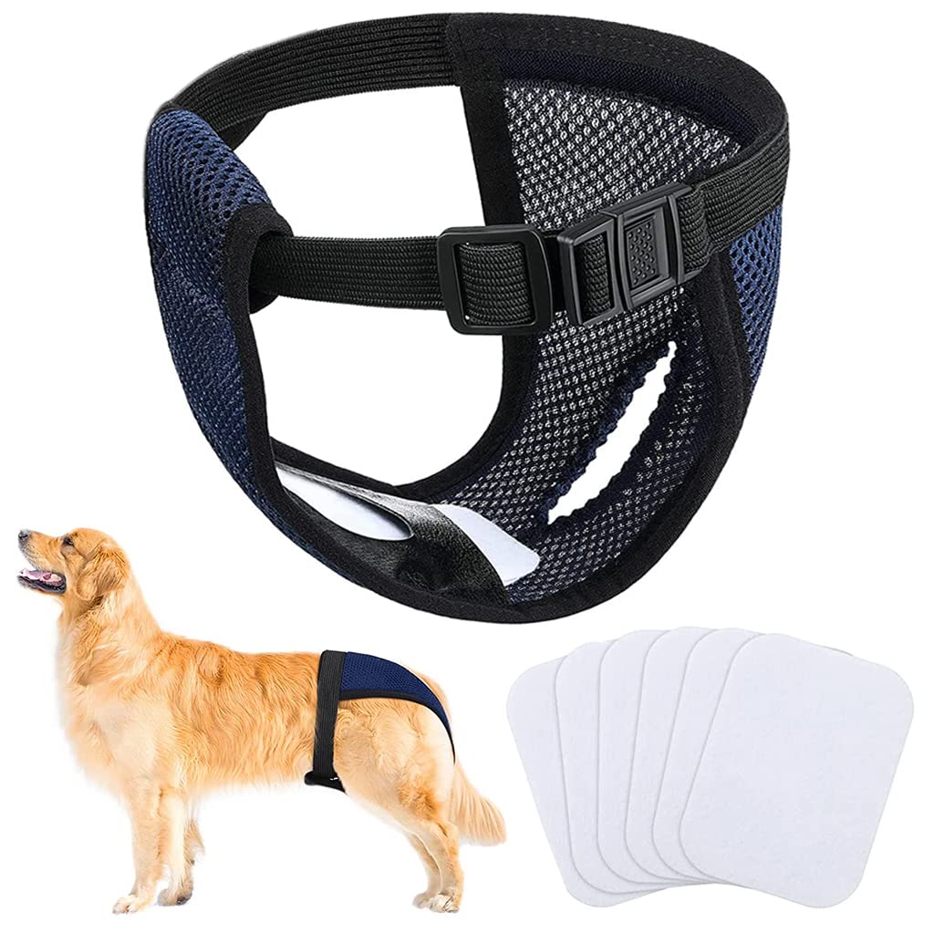 Qpets Female Dog Diapers for Puppy Training with 3 Absorption Pads and Elastic Waist | Washable Breathable Mesh Fabric (XL 16–21 in Waist)