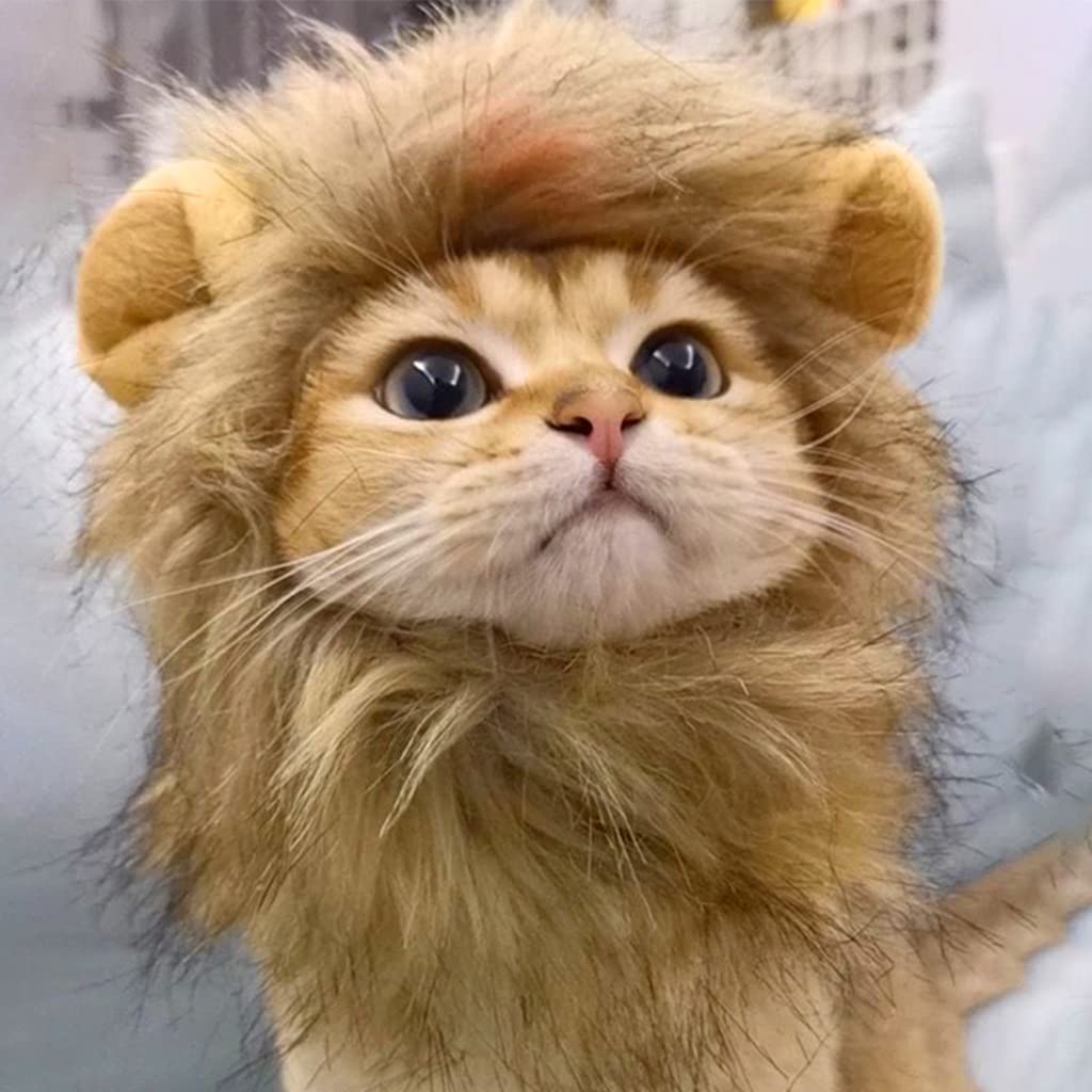 ZIBUYU Dog Sweater Lion Mane Costume for Cat featuring Realistic Wig | Fits Neck 38 cm and Below