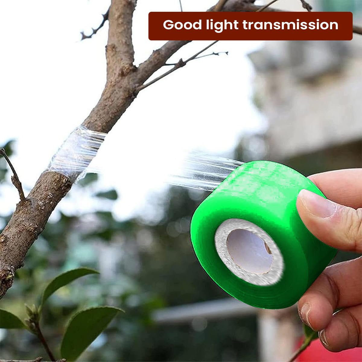 HASTHIP Grafting Cutter Tool for Fruit Trees and Flowers with 7.56 in Folding Design featuring Curved Steel Blade and Anti Slip Wooden Handle