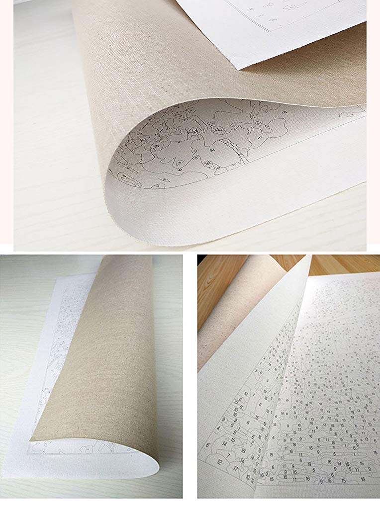 HASTHIP Paint by Numbers Kit for Beginners with Brushes and Pre Printed Canvas | Eco Friendly Acrylic Set for Kids and Adults