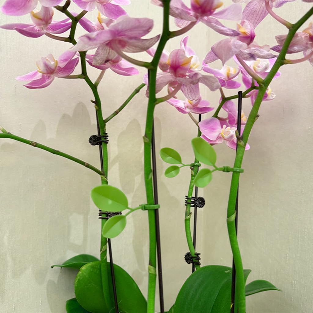 HASTHIP Plant Ties for Climbing Roses and Indoor Plants featuring 20pcs 20cm Nylon Clips with Leaf Charms