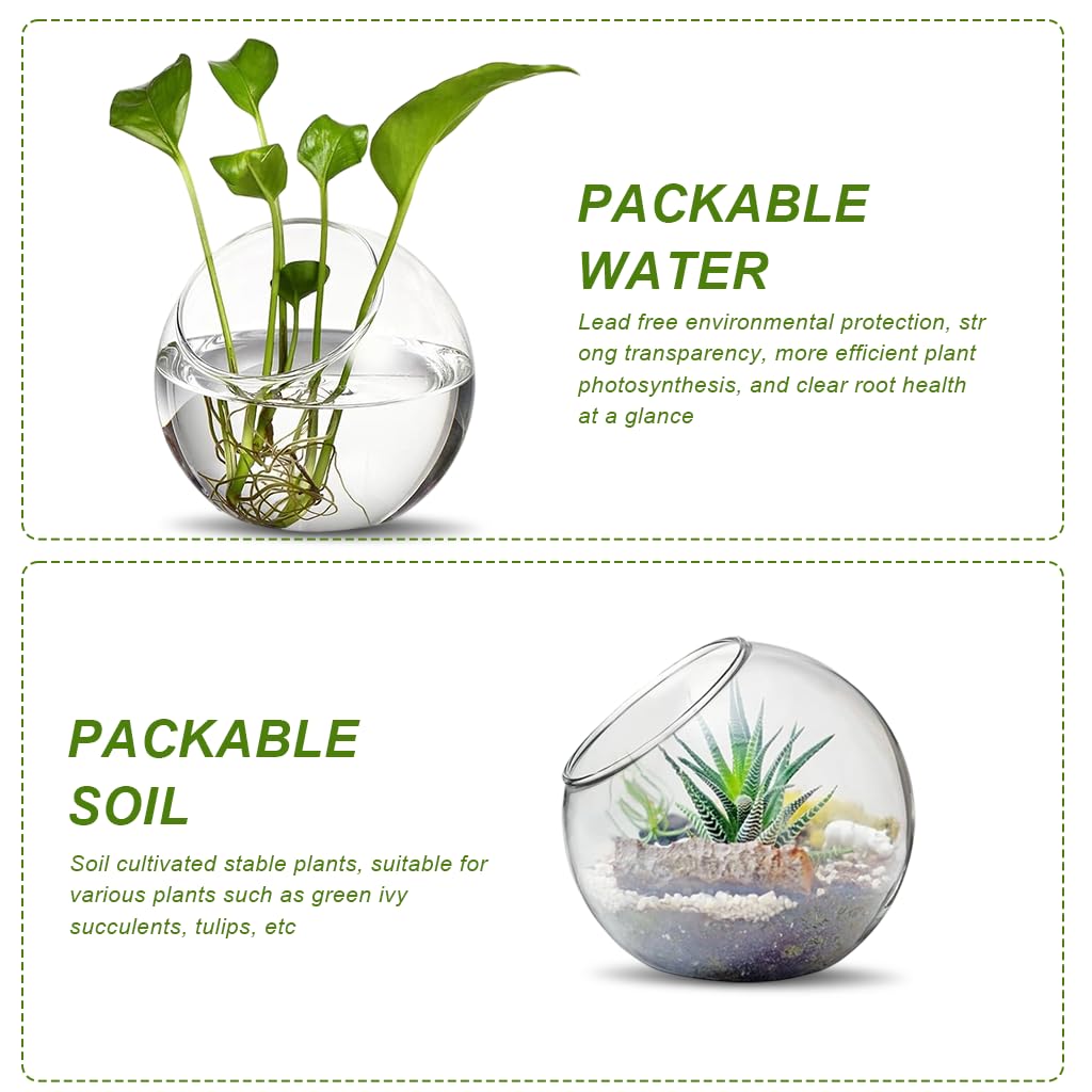 HASTHIP Glass Terrarium Container for DIY Mini Plant Display with Angled Opening | Clear Spherical Vase for Home Décor
