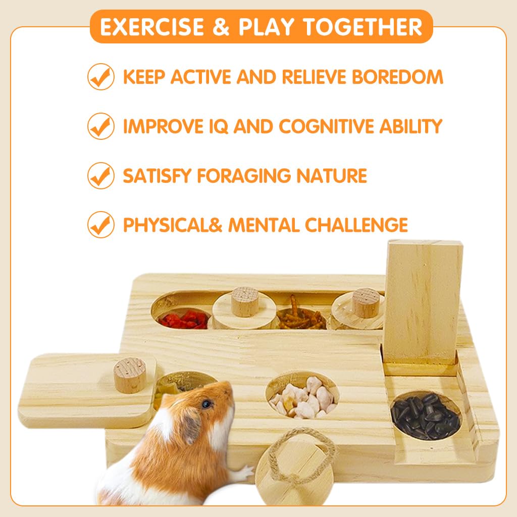 Qpets Guinea Pig Foraging Toy with 6 Compartment Slow Feeder in Wood for Small Pets | 7x5 in