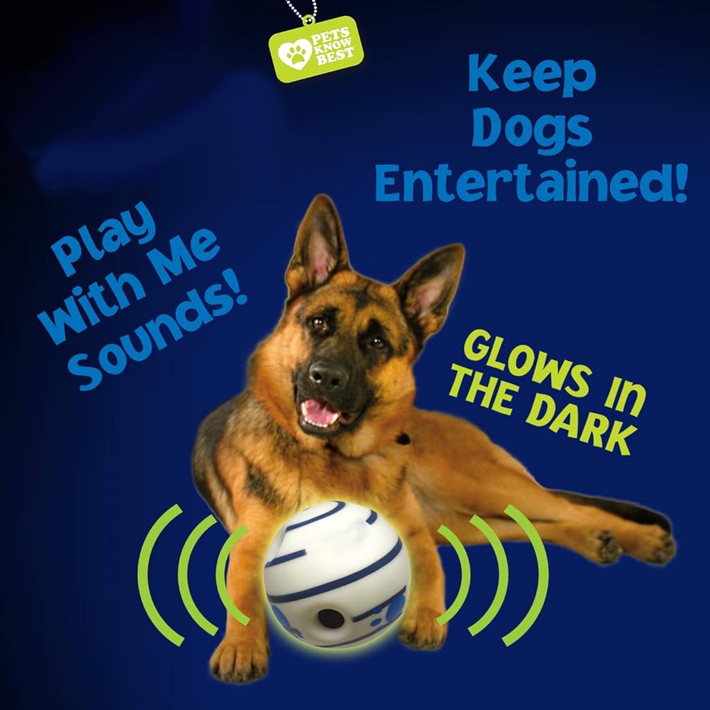 Qpets® 5.5 Inch Interactive Toy Ball for Dog, Dog Toys for Adult Dog Fun Bouncing Sound Ball with Night Glow, PVC Dog Molar Chew Ball Funny Pet Ball Chewing Toy Ball Toy for Medium Large Dogs